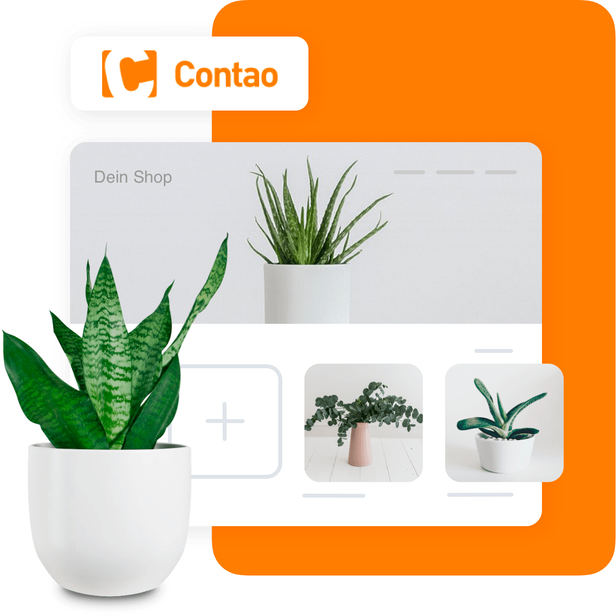 Contao_Main-1678821978