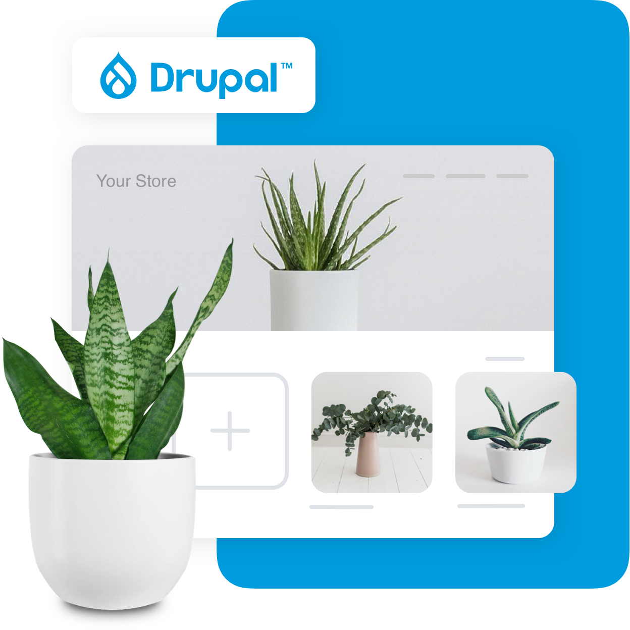 Drupal_Main-1619681604-1619769076